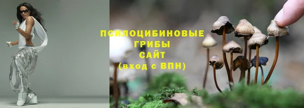 гидропоника Заволжье
