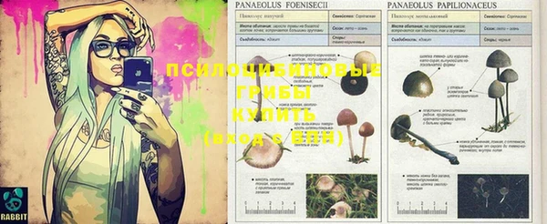 гидропоника Заволжье